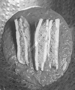 Paneer Pakeeza