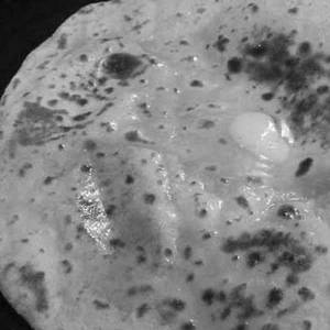 Tawa Roti Butter