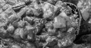 Veg Dopiaza