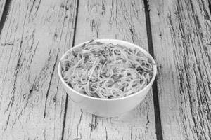 Veg Hakka Noodles