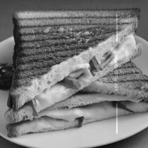 Cheese Sandwich     