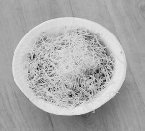 Cheese Maggi