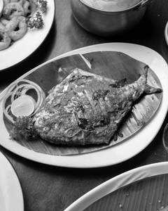 Pomfret Fry