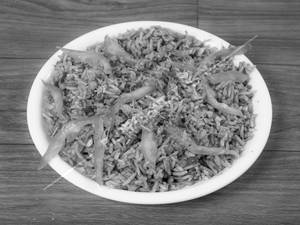 Fried Rice 
