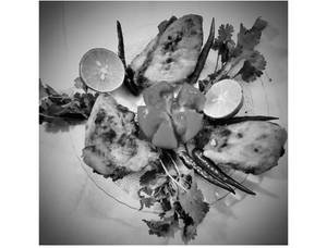 Chicken Breast