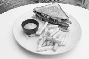 Caramelized Onion Cheese Sandwich