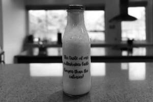 Mocha Cold Coffee