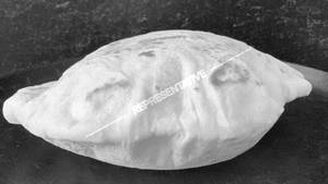 Tawa Roti