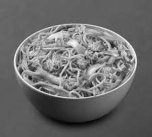 Egg Hakka Noodles