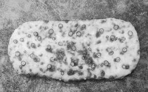 Cheese Chilli Garlic Bread