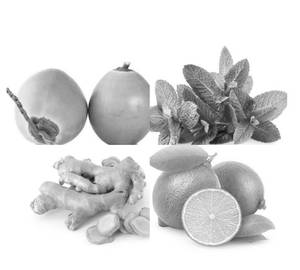 Tender Coconut (Mint with Ginger) Lime(750) Ml