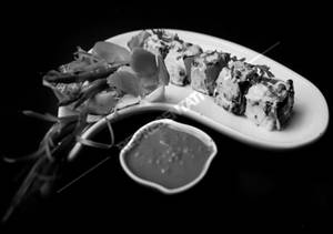 Paneer Malai Tikka