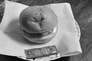 Spicy Schewan Burger