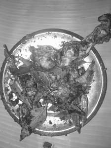 Chicken Fry