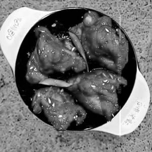 Chicken Hong Kong