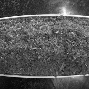 Khobra Lasun Chutneys