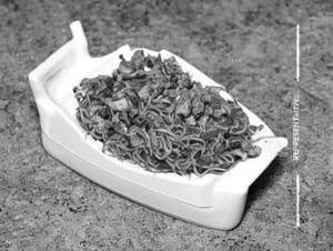 Chicken Schezwan Noodles