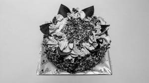 Zebra Forest Cake [500 Grams]