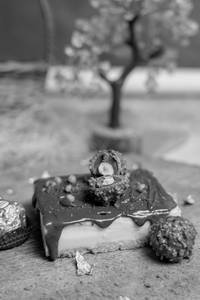 Ferrero Rocher Cheesecake