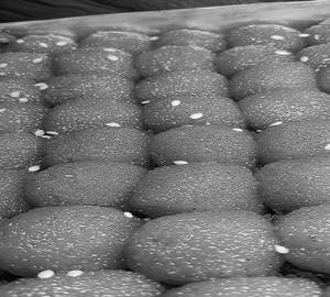 Dana Ladoo [1 Kg]