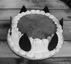 Kiwi Cake
