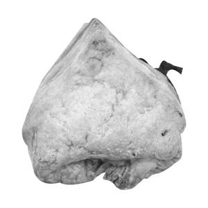 Puff Mushroom