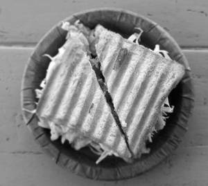 Cheese Club Exotic Sandwich