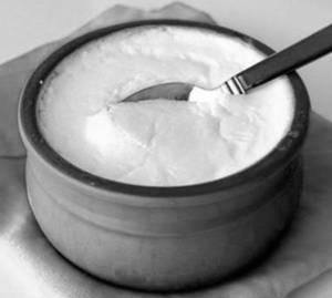 Plain Dahi