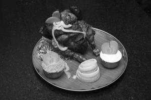Grill Chicken