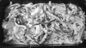 Zoogeti Alfredo