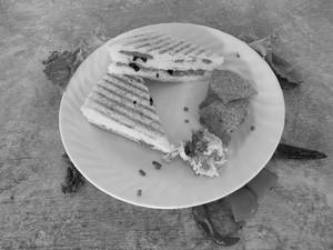 Greek Griller Sandwich