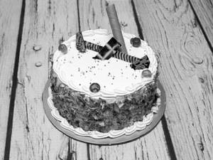 Cassata Premium Cake (500 gms)