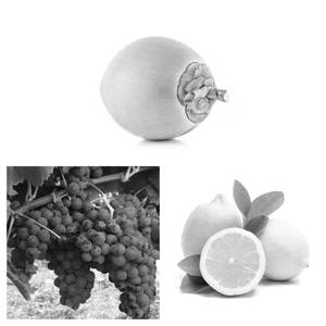 Tender Coconut Grapes Lime Juice (750 ml)