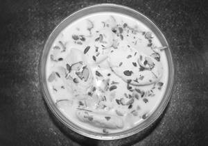 Rasmalai