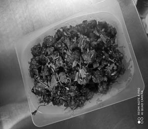 Mushroom Salt And Pepper