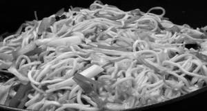 Veg Hakka Noodles