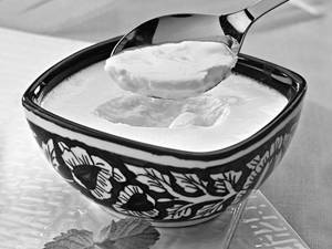 Plain Dahi