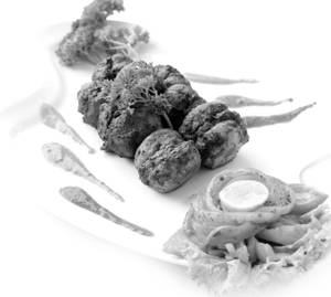 Mushroom Duplex ( 8 pes)