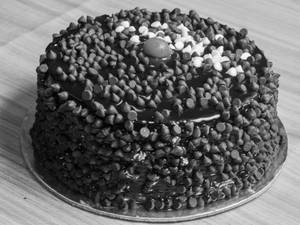 Choco Chips Cake (500 gms)