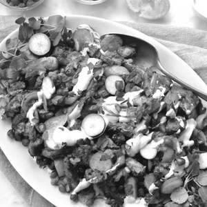 Hot Garlic Shawarma Plate