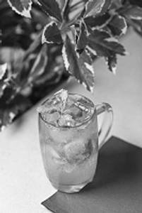 Classic Mojito