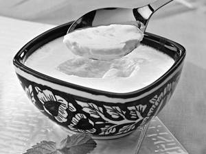 Plain Dahi