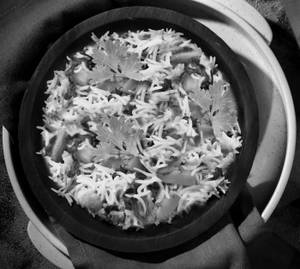 Veg Biryani 