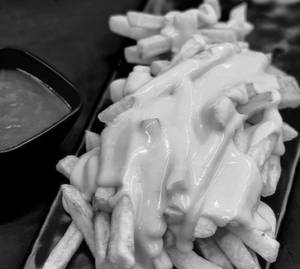 Double Cheesy Fries