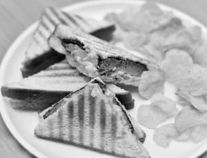 Cheese Sandwich      