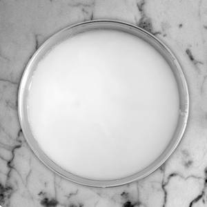 Plain Curd