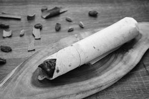 Mushroom Chilly Roll