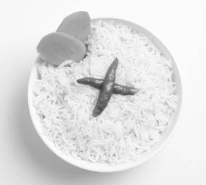 Plain Rice