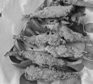 Nethili Rava Fry