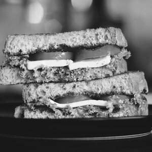 Fresh Veg Grilled Sandwich